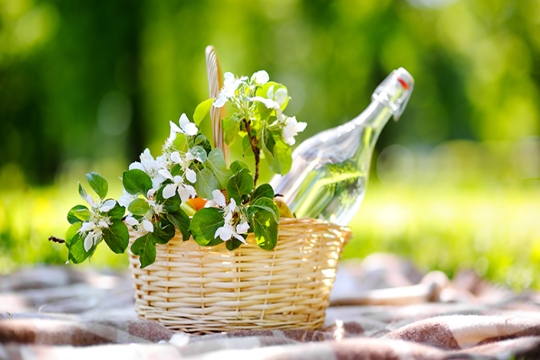 picnic basket